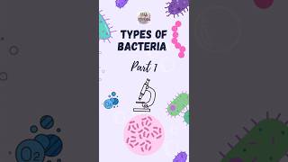 Types of bacteria and their classification Part 1 bacteria bacteriatypes microbiology bacteria [upl. by Ahseat]