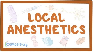 Local anesthetics pharmacology [upl. by Acnaiv]