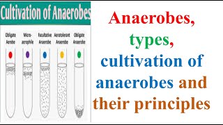 Microbiology Anaerobes types cultivation of anaerobes and their principles B Pharma 3rd Sem [upl. by Nidroj]