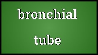 Bronchial tube Meaning [upl. by Daza503]