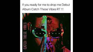 Download Album PnB Rock Catch These Vibes Zip wwwviperial6co [upl. by Ahseal]