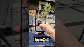 Apple Live Camera Test🤯samsung apple shorts [upl. by Nivad147]