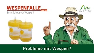 WespenFalle von Gardigo gegen Wespen [upl. by Josefina74]