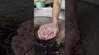 Chapli Kabab Season 😲 youtubeshorts ytshorts foodshorts chaplikabab [upl. by Amby]