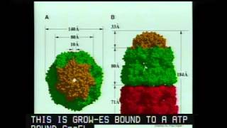 Molecular Chaperones in Protein Folding and Neurodegeneration [upl. by Smada]