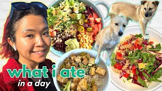 REALISTIC WHAT I ATE IN A DAY  My dogs high protein meals self care living alone vlog VEGAN [upl. by Ennyroc]