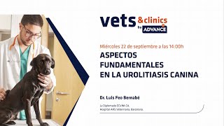 44ES quotAspectos fundamentales en la urolitiasis caninaquot [upl. by Nevin722]