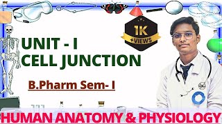 Cell Junction  Unit 1 BPharm 1st Sem  HAP I carewellpharma pharmacywala KclTutorials [upl. by Vasiliu]