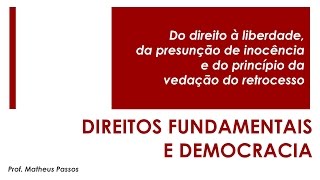 Direitos fundamentais e democracia [upl. by Doowrehs]