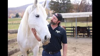 Veteran gets help with struggles from equine therapy at Healing Strides [upl. by Llertnahs]