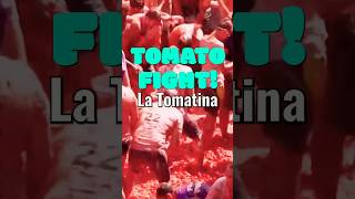 La Tomatina Festival spain tomato [upl. by Norm47]