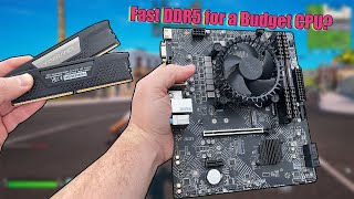 DDR4 vs DDR5 RAM with a budget CPU  Does it improve gaming performance [upl. by Ilka]