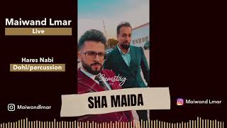 Maiwand Lmar live  SHA MAIDA  mast Pashto  Afghan Song 2023 [upl. by Ayita]