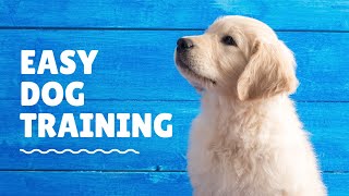 Easy Dog Training Tips for Beginners Teach Your Dog Basic Commands [upl. by Bobbette]