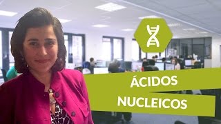 Ácidos nucleicos  Biología  digiSchool [upl. by Cinelli]