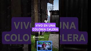 STREAMER LIFE SIMULATOR  VIVO EN UNA COLONIA CLERA [upl. by Ries]