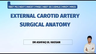 External Carotid Artery  Angiology for NEET PG  FMGE INICET [upl. by Lucila]