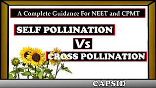 Self Pollination Vs Cross Pollination  Reproduction in plants [upl. by Hallimaj]