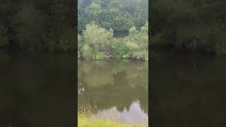 River Severn  England mountains travel nature youtubeshorts fypシ゚viral [upl. by Noraa]