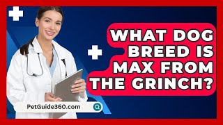 What Dog Breed Is Max From The Grinch  PetGuide360com [upl. by Luis]