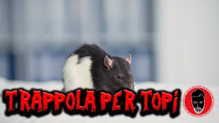 Trappola per topi  Racconti Horror 441 [upl. by Seiuqram]