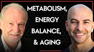 324‒Metabolism energy balance and aging the impact of diet calorie restriction amp macronutrients [upl. by Iaka]