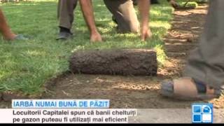 Iarbă verde numai bună de păzit Muncitorii au aşternut astăzi peluză în Scuarul Gării din Chişinău [upl. by Ahsile]