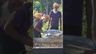 SERVING Sardine Fish Curry amp Rice villagegrandpacooking villagevlog seafoodrecipes food fish [upl. by Nylinnej]