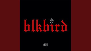 BlkBird [upl. by Nicholson93]