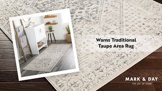 Warns Traditional Taupe Area Rug [upl. by Ryter]