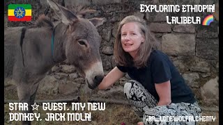 Exploring Ethiopia 🇪🇹 Lalibela and a donkey called Jack Mola 🫏 [upl. by Yngiram741]