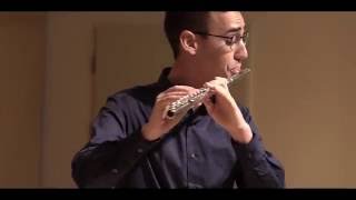 C Reinecke  Flute Concerto in D major Op283 HD [upl. by Ekim746]