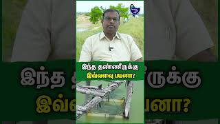 விவசாயிகள் இதை உரமா பயன்படுத்துறாங்க  Elan Cheran  Fish amp Aqua Farming fish prawns aquafarm [upl. by Graham561]