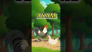 AYAM KAWent videoanak duniaanak anakanak [upl. by Aurelia9]