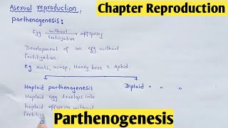 Parthenogenesis  Haploid Parthenogenesis  Diploid Parthenogenesis  Class 12 In Hindi Urdu [upl. by Parke]