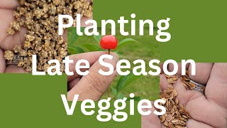 Planting Late Season Veggies [upl. by Drofnelg]