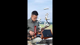 《一晃就老了》Rollins Saxophone tenor RSTX7III Cover By MrsMiao [upl. by Aneerb]