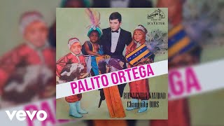 Palito Ortega  Changuito Dios Official Audio [upl. by Potash]