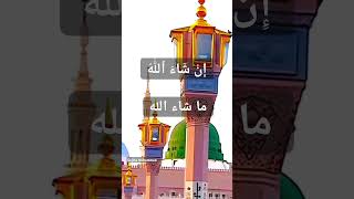 quotInshallah mashallahquot inshallah mashallah islamicspeech shortsfeed islamicvideo satisfying [upl. by Novyak]