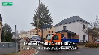 Chrudimský VÁNOČNÍ strom 2024  kácení  příjezd na Resselovo náměstí  Chrudim 11112024 [upl. by Ayaladnot]