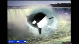 Marineland Commercial 1987 EN [upl. by Grider]