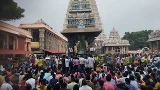 PRADOSHAM pooja in Lord Arunachal Temple in Trivanmala2 [upl. by Tansy]