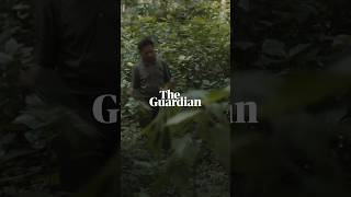 The whistled language of Northern Laos  Birdsong [upl. by Nylorahs356]