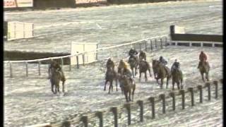 1987 Tote Cheltenham Gold Cup Chase [upl. by Osrock]