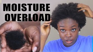 RUINING MY HAIR MOISTURE OVERLOAD HYGRAL FATIGUE EXPLAINED [upl. by Felicia]