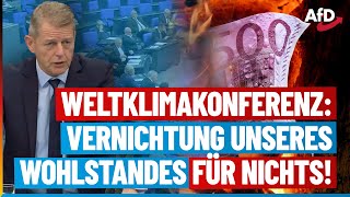 Klimakonferenz Vernichtung unseres Wohlstandes für nichts [upl. by Ednargel]