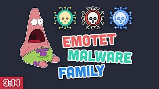 The Emotet Malware Family Explained in Pi minutes [upl. by Gniy72]