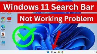 How to Fix Search Bar not Working in Windows 11  Windows 11 Searching Problem Easy Way [upl. by Prochoras40]