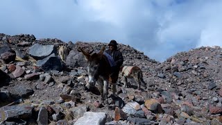 El nuevo hielero del Chimborazo es El Yerno de BaltazarUshca [upl. by Riba]