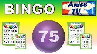 BINGO Blast 75 Ball Caller [upl. by Jolyn]